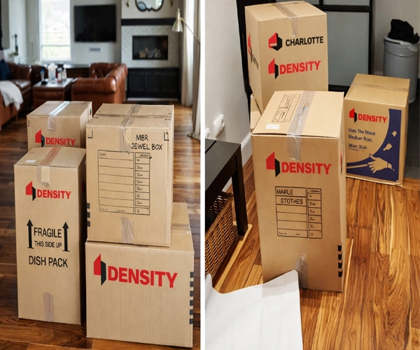 Packers and Movers in Udaipur